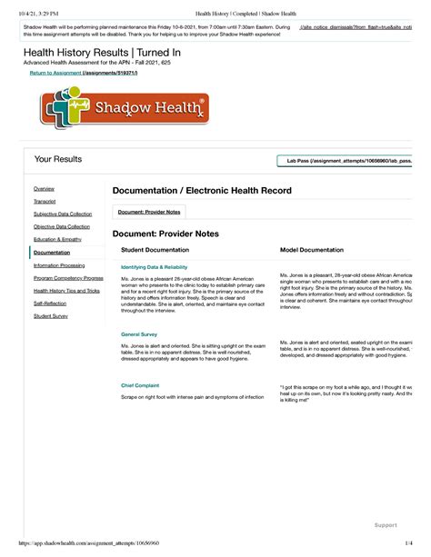 How to structure a <b>health</b> interview. . Shadow health health history documentation
